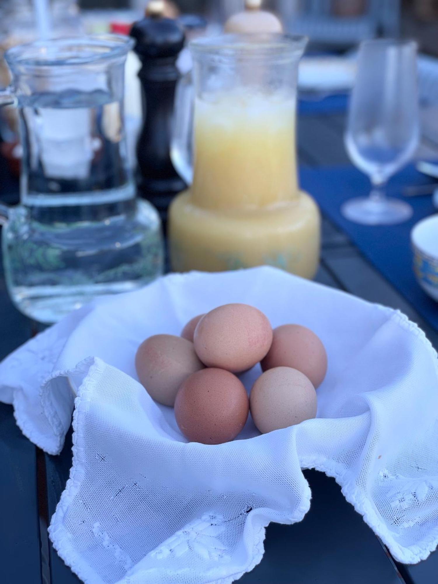The Quixote House Bed and Breakfast Caminha Buitenkant foto
